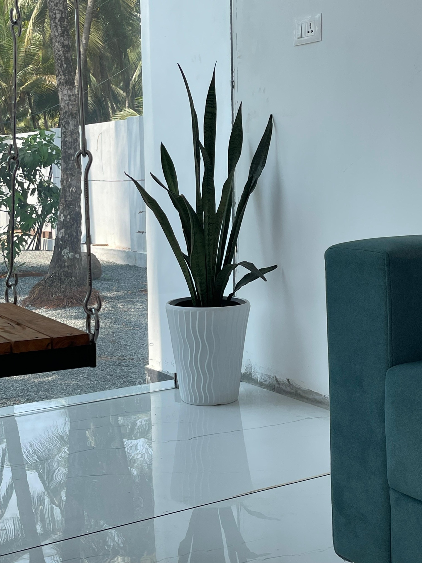 Indoor lounge corner with hanging swing, snake plant and coconut grove view — iptnirman residential design